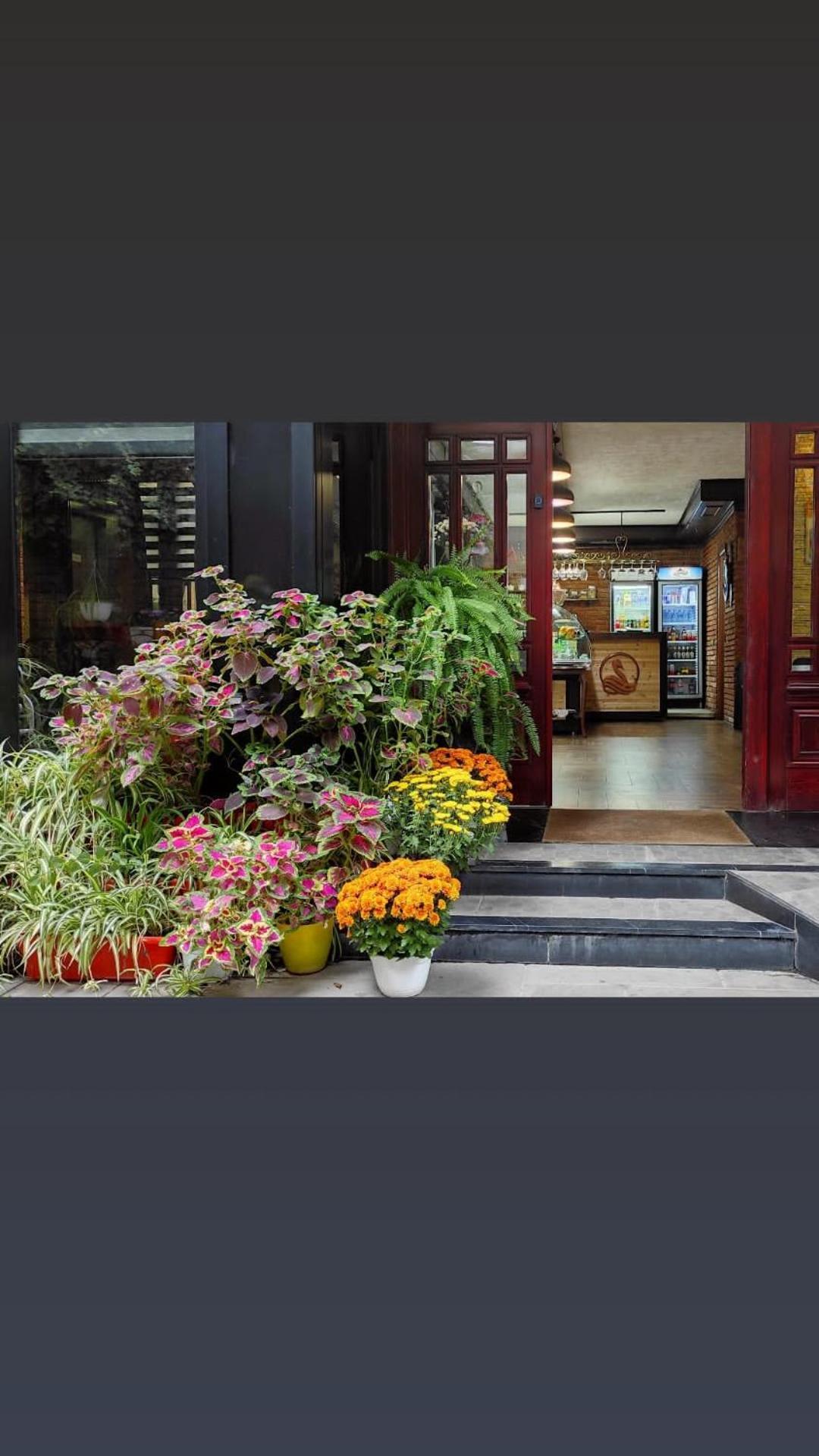 Hotel Livia 티라나 외부 사진